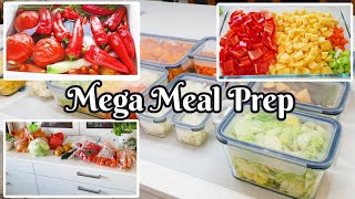 Mega Meal Prep [upl. by Lefton441]