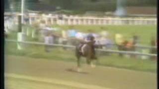 SECRETARIAT  1973 Arlington Invitational stretch call by Phil Georgeff [upl. by Laro]