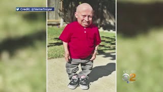 Actor Verne Troyer Dead At 49 [upl. by Kwang]