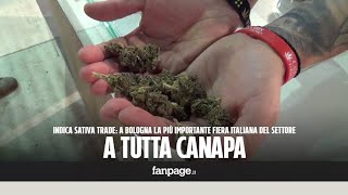 Dentro la più grande fiera sulla cannabis tutto a base di canapa anche le crocchette per cani [upl. by Cronin]