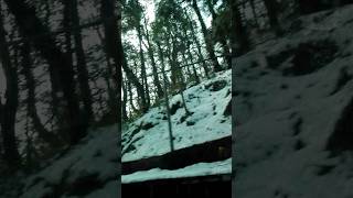 Murree lower tappa  tripsnowfall nature trendingshorts [upl. by Nisay]