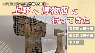 【上野に行ってみた】たまには外で見聞を深めよう／東京国立博物館／国立西洋美術館／アメ横 [upl. by Yttak915]