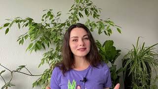 4 Watering  Houseplant Guide for Beginners  PLANT CRASH COURSE [upl. by Alejo]