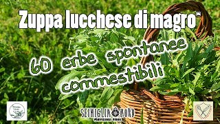 60 erbe spontanee commestibili elenco piante ad uso alimentare [upl. by Anuahs127]