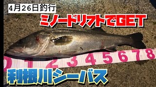 4月26日釣行利根川逆水門でサゲ激流をミノードリフトで釣ってきました。 [upl. by Crooks]