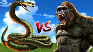 Snake vs Kong Fight With SHINCHAN vs CHOP Epic Battle [upl. by Anairo573]