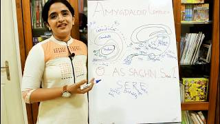 NEUROANATOMYTHE LIMBIC SYSTEMPART2AMYGDALADR ROSE JOSE MD [upl. by Maryn278]