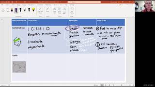 Biology 2010 Chapter 2 Carbohydrates Video 12 [upl. by Jareen]