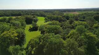 Flying over oak forest in summer Germany [upl. by Yniatirb323]