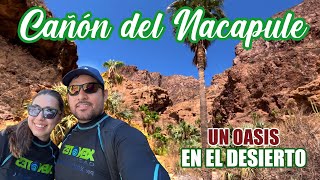 Cañón de NACAPULE  San Carlos Sonora  Un viaje más [upl. by Airan]