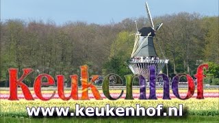 Keukenhof Tulip Festival Blumen Corso Flower Parade [upl. by Gregor]