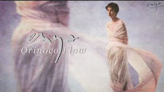 Enya  Orinoco Flow Lyric Video [upl. by Yank687]