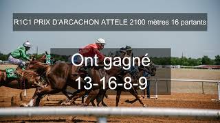 PRONOSTIC QUINTÉ DU MARDI 05 NOVEMBRE 2024 PRIX DARCACHON R1C1 PARIS VINCENNES [upl. by Zabrina878]