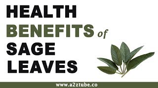 Health Benefits of Sage Leaves [upl. by Zetnod981]