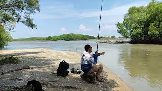 This is very fun  fishing in the estuary 🎣  fishing fish [upl. by Neoma]