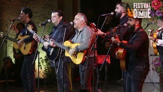 Gipsy Kings y su contagiosa fiesta en El Patagual  Festival del huaso de Olmué 2018 [upl. by Midas]