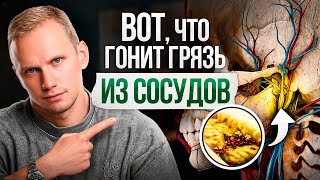 ЭТО почистит сосуды лучше чем щетка ЧИСТКА СОСУДОВ [upl. by Omrelliug]