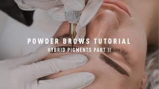 How To Tattoo Powder Brows  Full Tutorial 2023  Part II [upl. by Andrei]