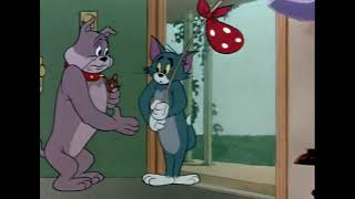 Tom amp Jerry — Ep 88 5 “Pet Peeve” — 1954 tomandjerryvideos cartoonvideosforkids funnycartoon [upl. by Nellek633]