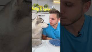 Provo ad INGANNARE il mio CANE🤭🐶😂 cane cani dog dogs dogchallenge [upl. by Mohkos]