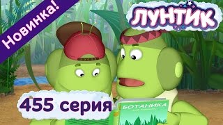 Лунтик  455 серия Полосатый и серебристый Новые серии 2017 года [upl. by Nnairrehs508]