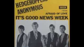 Hedgehoppers Anonymous  Its Good News Week Stereo  1965 [upl. by Reffotsirk]