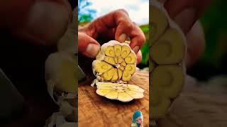 Outdoor cooking food cooking outdoorcooking recipe nature forest fire asmr foodie [upl. by Ardnosac330]