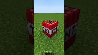 Minecraft TNT vs 1000 Mini TNT🤯もういいよ shorts [upl. by Haney742]