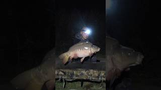 Kolejna nocna ryba Ta woda daje ładne ryby shorts karp nowezukowo fishing karpiowanie vlogs [upl. by Tterrag248]