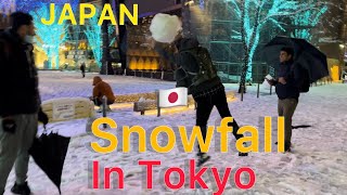 Japan  Tokyo  Winter  Snowfall  Indian In Japan  Nepali In Japan  Ikebukuro snow winter [upl. by Nordna]