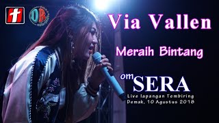 Via Vallen  Meraih Bintang  Dangdut Version   OMSERA Live Demak 2018 [upl. by Esenahs]