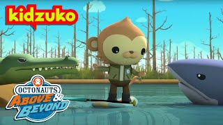 Octonauts Above amp Beyond  💦 Splashy River Monsters 👻  Compilation  Kidzuko​ [upl. by Arni997]