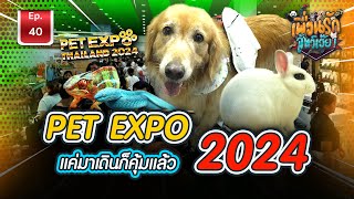 Pet Expo2024 l เพื่อนรักสัตว์เอ๊ย Ep40 [upl. by Tsui]