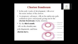 3 in 1  Chorion II Decidua II Amniochorionic Membrane  Easily explained [upl. by Bozovich]