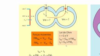 Biofísica de Membranas  Aula 18  Bioeletrogenese 3 [upl. by Lai]