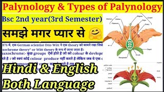 Palynology amp Types of Palynology  Part1 Morphology  परागकण  Bsc 2nd year3rd Semester bsc [upl. by Chiaki]