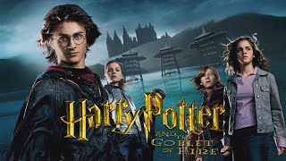 Harry Potter E Il Calice Di Fuoco Recensione E Analisi Del Film  Hogwarts Party [upl. by Lorak246]