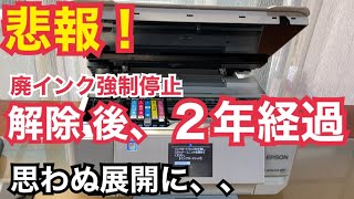 【廃インク解除後、２年経過】エプソンプリンター廃インク吸収パットを覗いてみたら、思わぬ展開になっていました。 [upl. by Wendelin892]