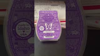 Scentsy BBMB Mardi Gras Collection Street Parade Warm Review [upl. by Biggs]