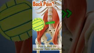 Loosen Up Your Iliopsoas Muscle Use a Ball [upl. by Salome595]