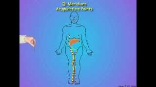 08Muscle Trigger Point Treatment [upl. by Nwahsem366]