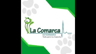 LA COMARCA VETERINARIA SUCURSAL [upl. by Ayrb]