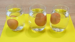 Egg freshness test Put a raw egg in a glass of water [upl. by Ettenna]