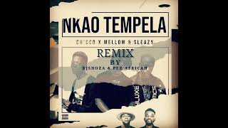 Nkao Tempela  dj Shoza amp Pex Africah remix [upl. by Yerg]