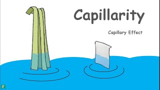 Capillary Rise in Soils [upl. by Kulda]