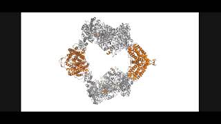 Ribonucleotide ReductaseRNR [upl. by Nitsraek255]