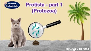 Protista part 1 Protozoa  Biologi kelas 10 SMA [upl. by Ardnoid216]