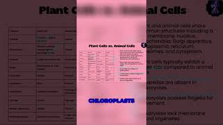 The Key Differences Between Plant and Animal Cells Explained [upl. by Mercola367]