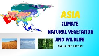 ASIA  Climate Natural Vegetation and Wildlife of Asia [upl. by Leval]