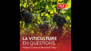 Relance des ventes Que font les opérateurs [upl. by Petronella]